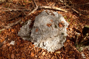 Několik nově vzniklých „skal“… Podle bílé barvy bych to odhadoval na ztvrdlé vápno, ale nejsem si jist, zda vápno může ztvrdnout na kámen. Kromě toho do betonu se vápno asi moc nehodí, takže to asi také bude cement…