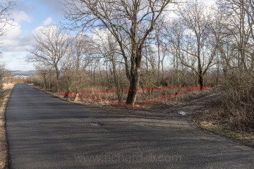 Červeně je vyznačeno místo, kde býval rybníček, napájený potokem. Pohled směrem na Litoměřice.