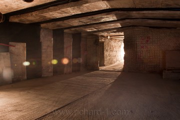 V podzemí Richard II.