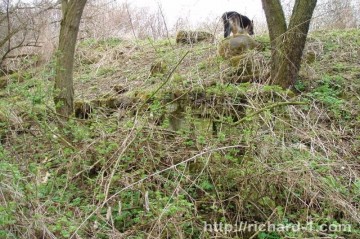 Pozadí paní psové, naznačuje vrcholek pahorku, místo kde pravděpodobně šachta vyúsťovala.