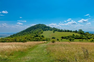 Vrch Radobýl a asi tam nejpohodlnější cesta vedoucí vrcholu nebo lomům na západní stěně kopce.