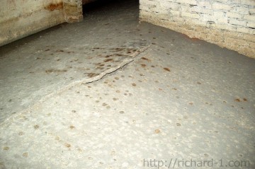 Prasklá podlaha v bývalé telefonní centrále.