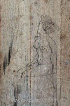Kresba nahé ženy.