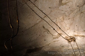 K osvětlení byla elektřina přiváděna například na stěnách, kde byl izolovaný kabel uchycen na drobných izolátorech. Foto – Dalibor Hellebrant.